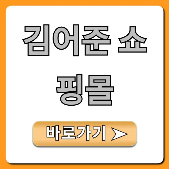 김어준 쇼핑몰 공식 굿즈 총정리