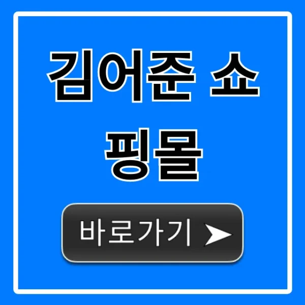 김어준 쇼핑몰 굿즈와 이용 방법 완벽 가이드