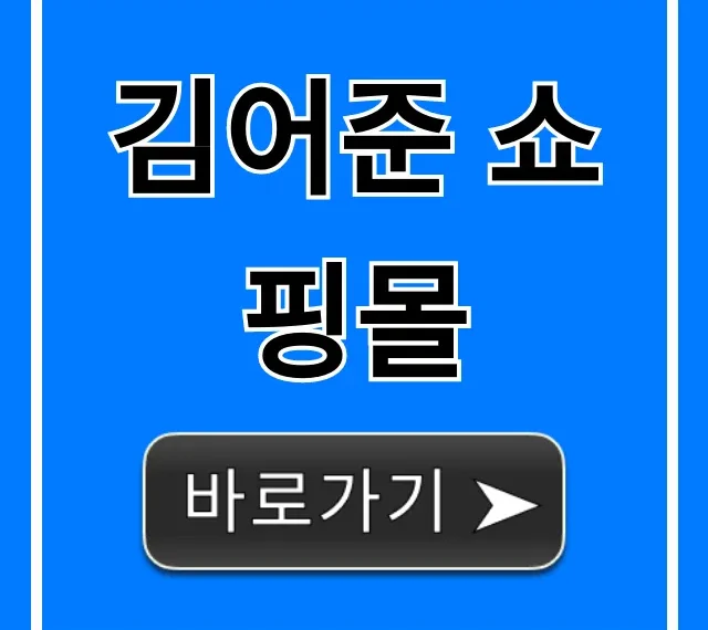 김어준 쇼핑몰 딴지마켓 상품 구매 완벽 가이드