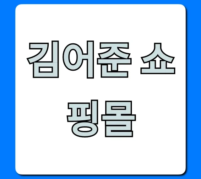 김어준 쇼핑몰 바로가기부터 특별 혜택까지 완벽 가이드