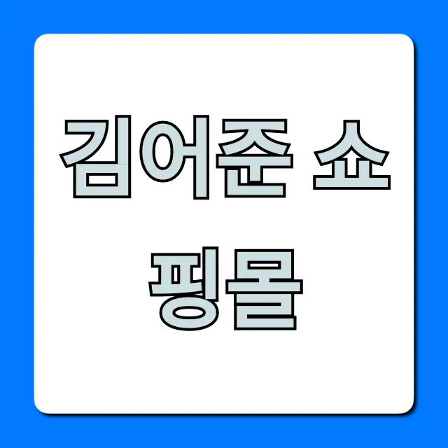 김어준 쇼핑몰 바로가기부터 특별 혜택까지 완벽 가이드