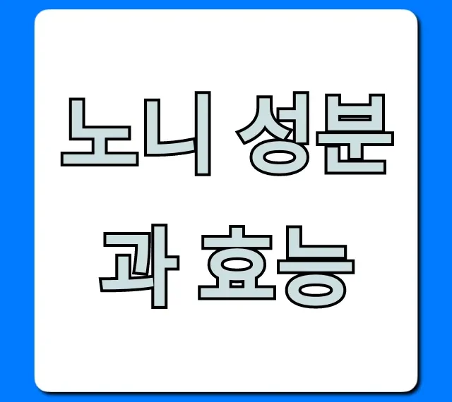 노니 성분과 효능, 부작용과 복용 꿀팁 총정리