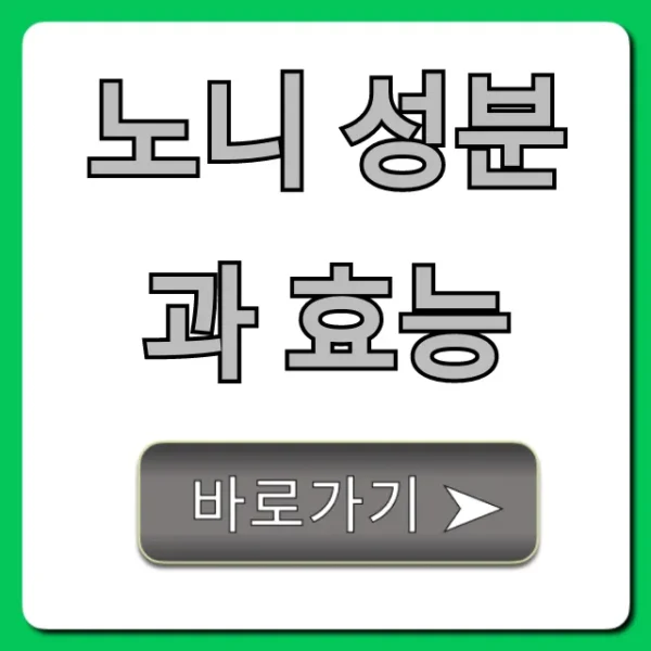 노니 성분과 효능, 부작용과 섭취법 총정리