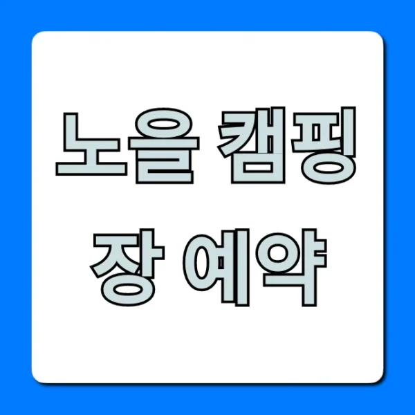 노을 캠핑장 예약 성공 꿀팁 & 명당 사이트 총정리