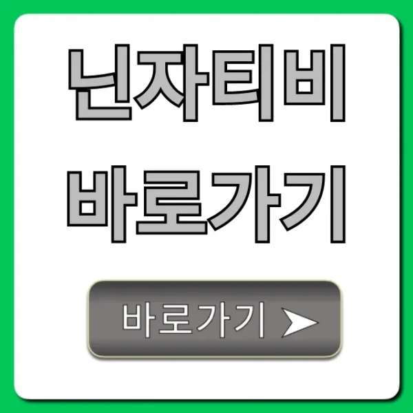 닌자티비 바로가기 실시간 시청 꿀팁 총정리
