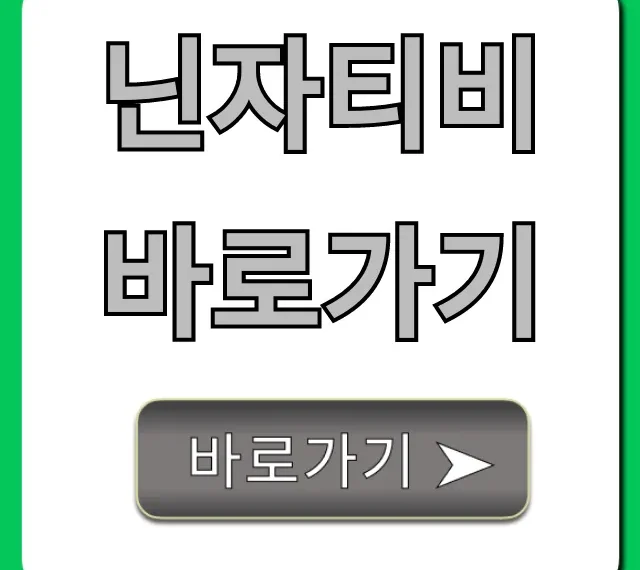 닌자티비 바로가기 실시간 시청 꿀팁 총정리