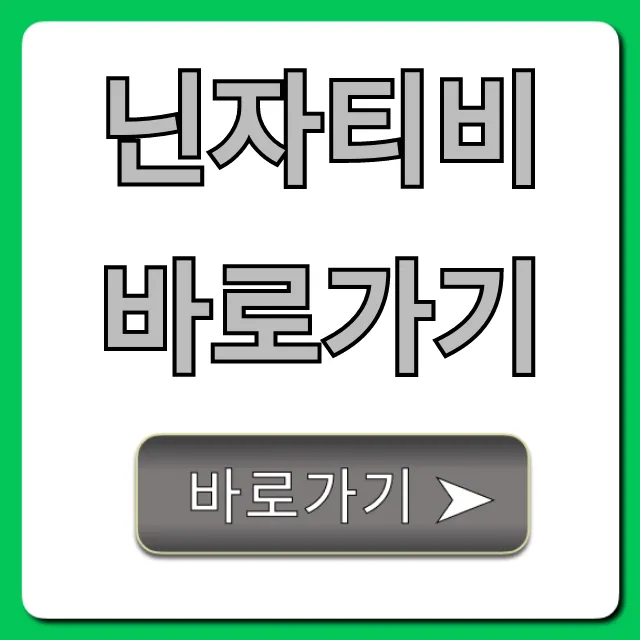 닌자티비 바로가기 실시간 시청 꿀팁 총정리