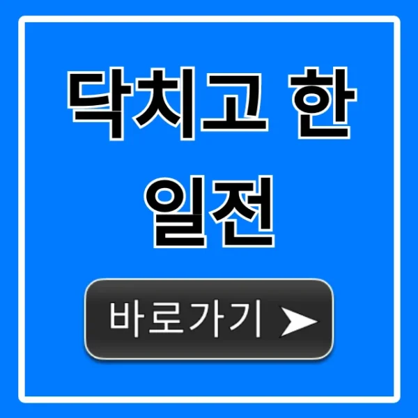 닥치고 한일전! 반드시 알아야 할 모든 것 총정리