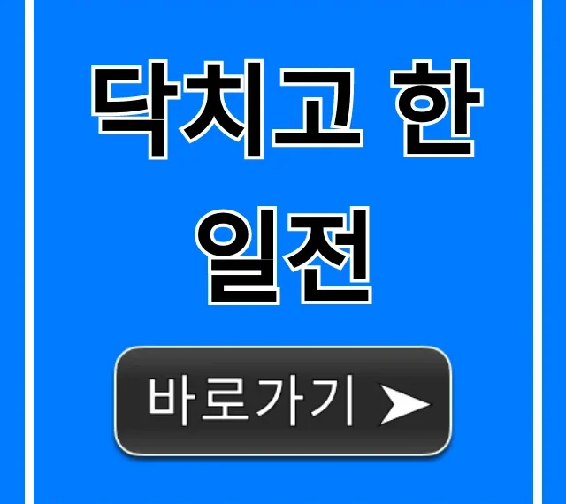 닥치고 한일전! 반드시 알아야 할 모든 것 총정리