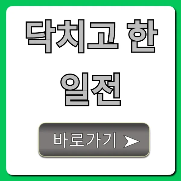 닥치고 한일전: 역대 전적부터 중계 일정까지 총정리
