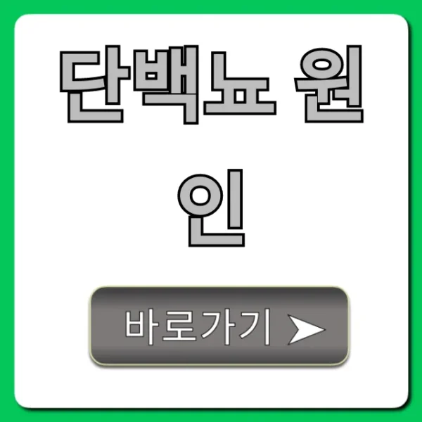 단백뇨 원인, 증상부터 해결책까지 총정리