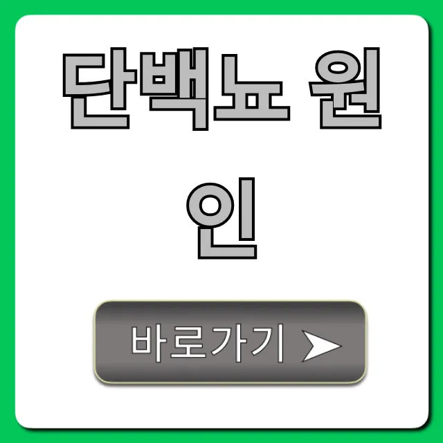 단백뇨 원인, 증상부터 해결책까지 총정리