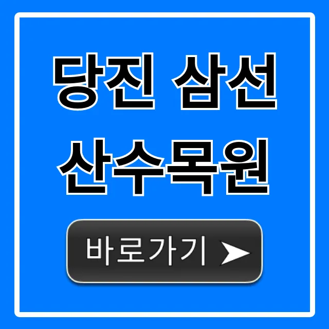 당진 삼선산수목원: 아이와 가기 좋은 완벽 코스 총정리