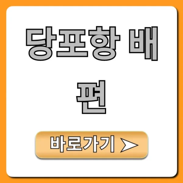 당포항 배편 시간표 요금 총정리