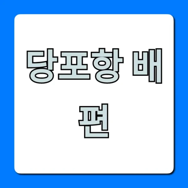 당포항 배편 완벽 가이드: 최신 시간표 확인