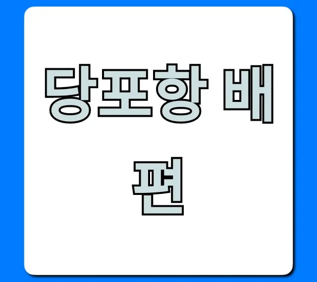 당포항 배편 완벽 가이드: 최신 시간표 확인