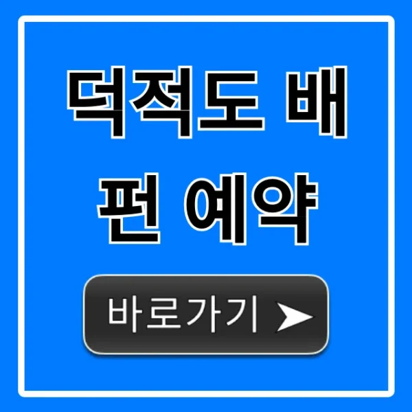 덕적도 배펀 예약 방법! 배편 시간 가격 총정리