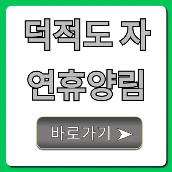 덕적도 자연휴양림 예약 가격 꿀팁 총정리