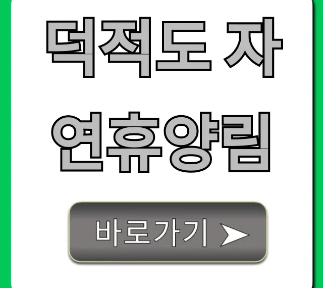 덕적도 자연휴양림 예약 가격 꿀팁 총정리