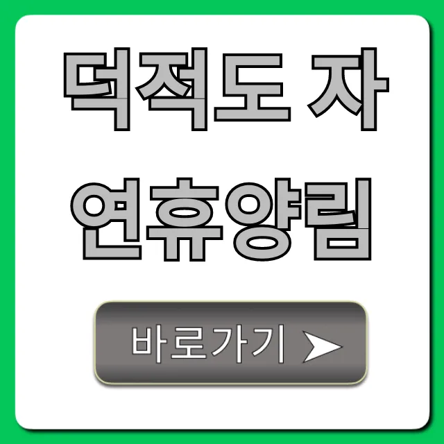 덕적도 자연휴양림 예약 가격 꿀팁 총정리