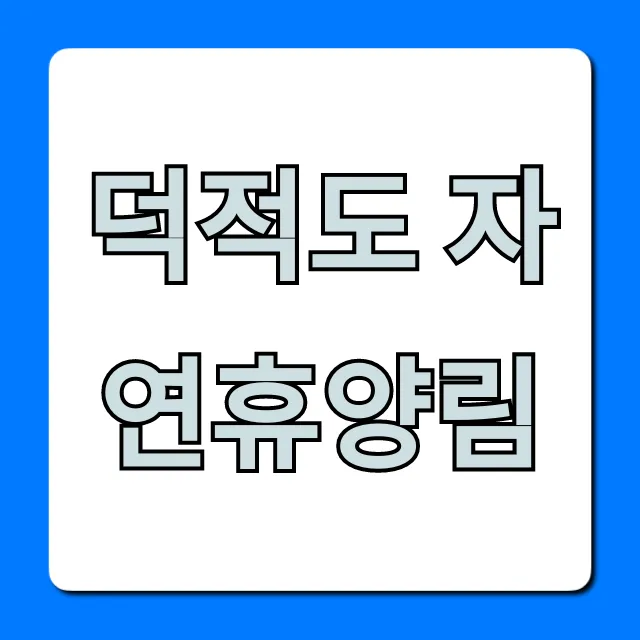 덕적도 자연휴양림: 예약 꿀팁과 총정리