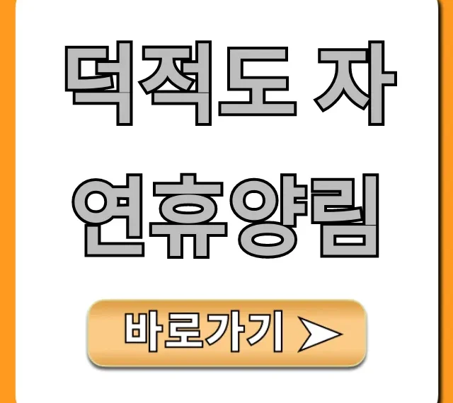 덕적도 자연휴양림 완벽 가이드! 필수 꿀팁