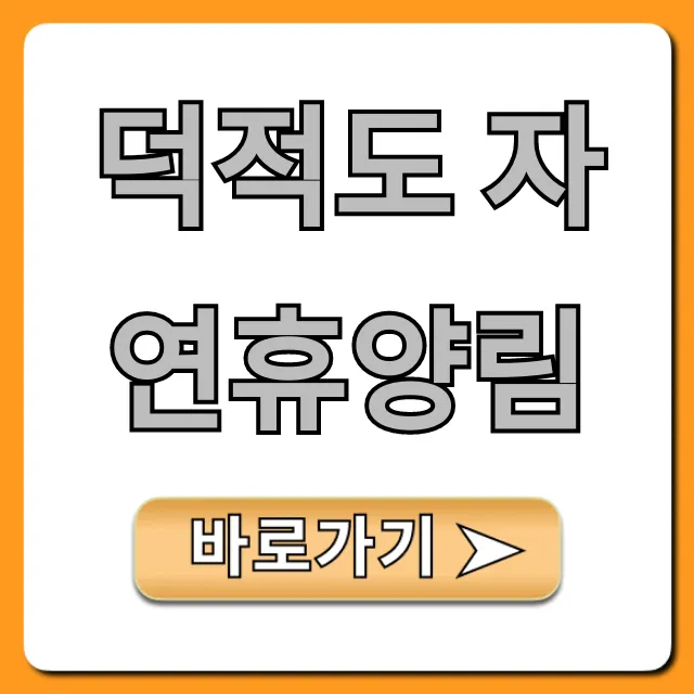 덕적도 자연휴양림 완벽 가이드! 필수 꿀팁