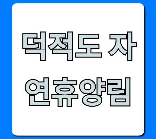덕적도 자연휴양림 최신 예약 방법 총정리