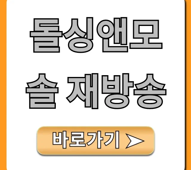 돌싱앤모솔 재방송 시간 편성표 총정리