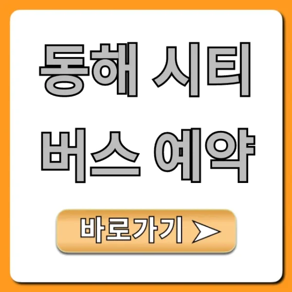 동해 시티버스 예약: 노선 시간표 완벽 가이드