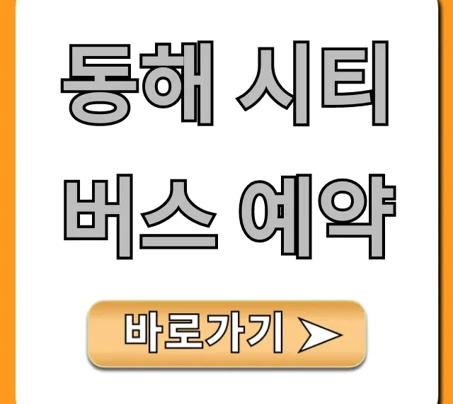 동해 시티버스 예약: 노선 시간표 완벽 가이드