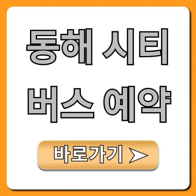 동해 시티버스 예약: 노선 시간표 완벽 가이드