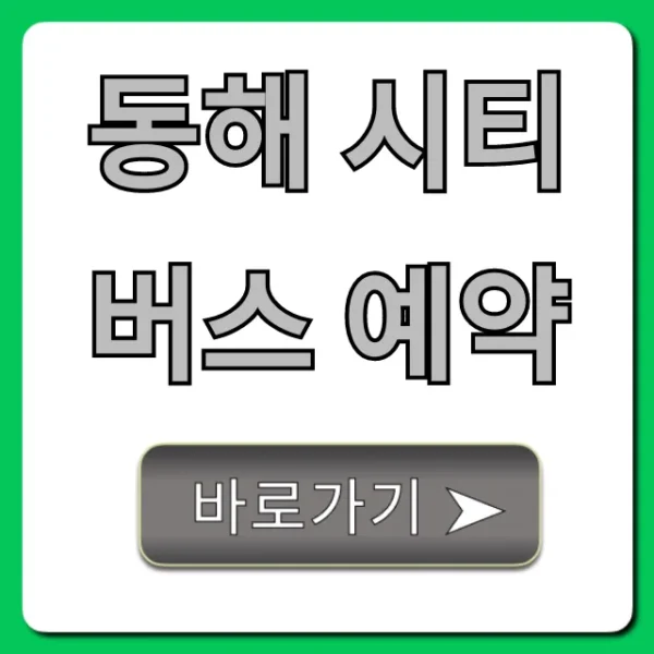 동해 시티버스 예약 방법: 노선 요금 총정리