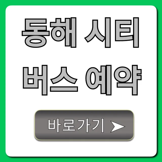 동해 시티버스 예약 방법: 노선 요금 총정리