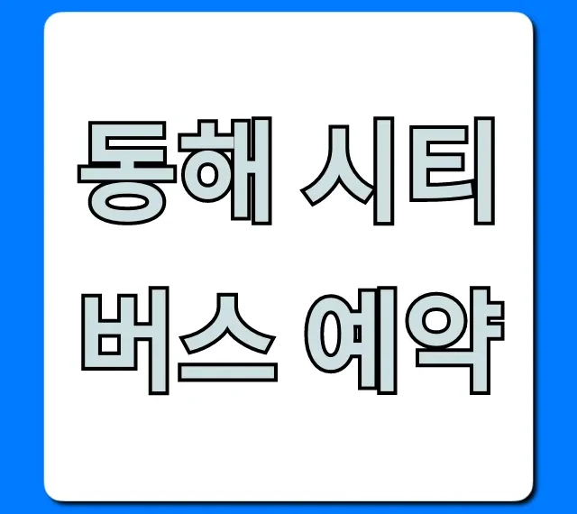 동해 시티버스 예약: 요금 & 노선 총정리