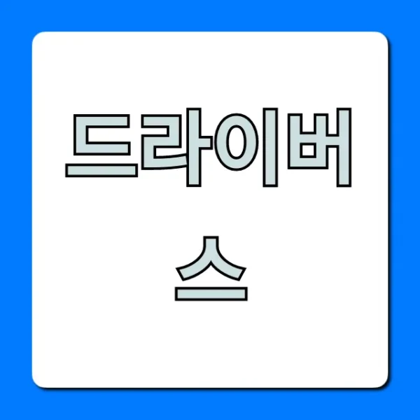 드라이버스 총정리: 신청부터 꿀팁까지!