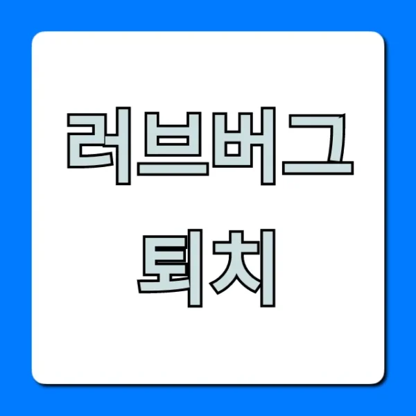 러브버그 퇴치 완벽 가이드! 집 안팎 꿀팁 총정리
