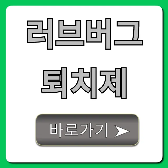 러브버그 퇴치제: 집 벌레 완벽 제거 꿀팁