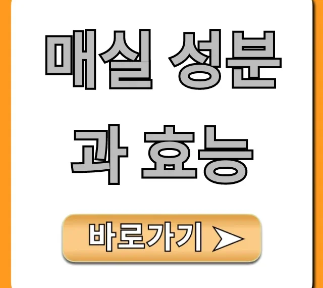 매실 성분과 효능: 소화, 피로회복 꿀팁 총정리