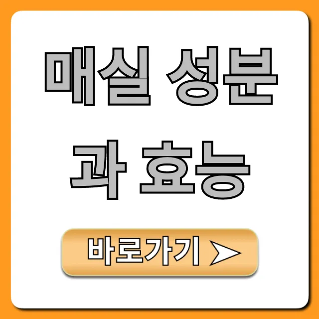 매실 성분과 효능: 소화, 피로회복 꿀팁 총정리