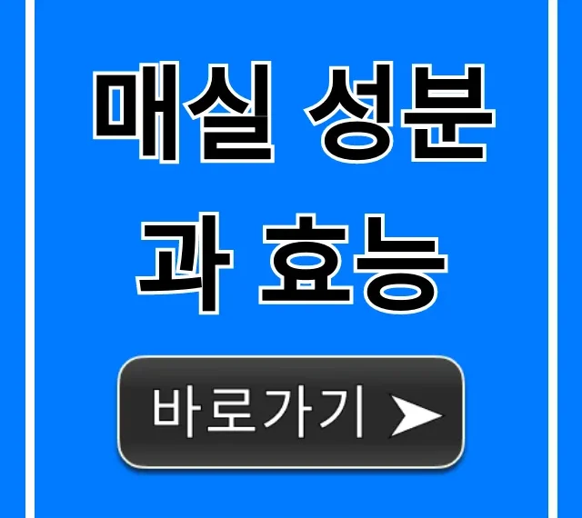 매실 성분과 효능, 소화불량 피로회복 꿀팁 총정리