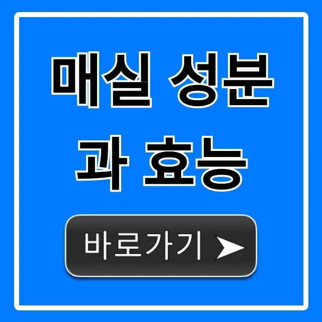 매실 성분과 효능, 소화불량 피로회복 꿀팁 총정리