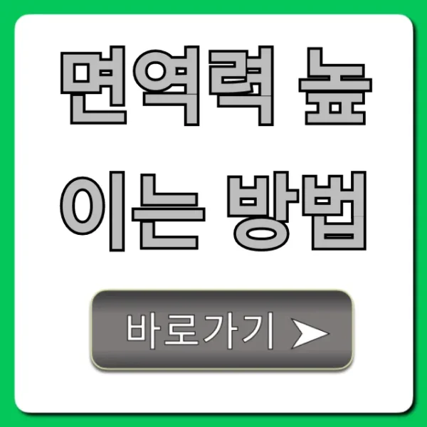 면역력 높이는 방법, 일상생활 꿀팁 총정리