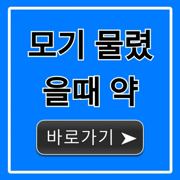 모기 물렸을때 약, 가려움 완화 꿀팁 총정리
