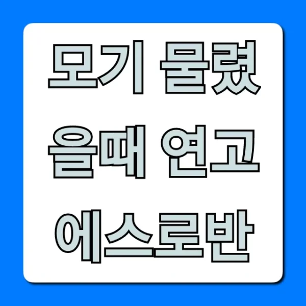 모기 물렸을때 연고 에스로반: 스테로이드, 효과 총정리!