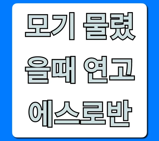 모기 물렸을때 연고 에스로반: 스테로이드, 효과 총정리!