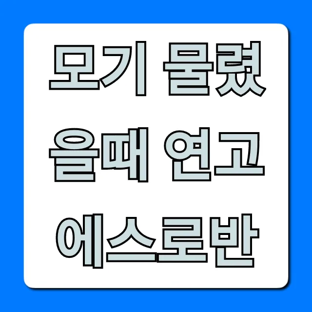 모기 물렸을때 연고 에스로반: 스테로이드, 효과 총정리!