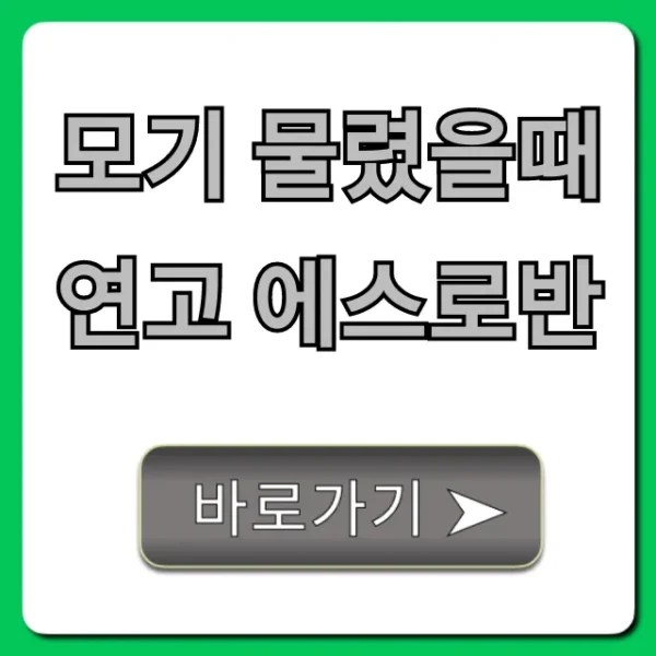모기 물렸을때 연고 에스로반 효과, 아기 사용 꿀팁