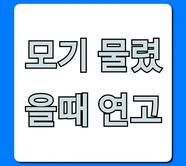 모기 물렸을때 연고 추천: 가려움 즉시 잡는 꿀팁 총정리