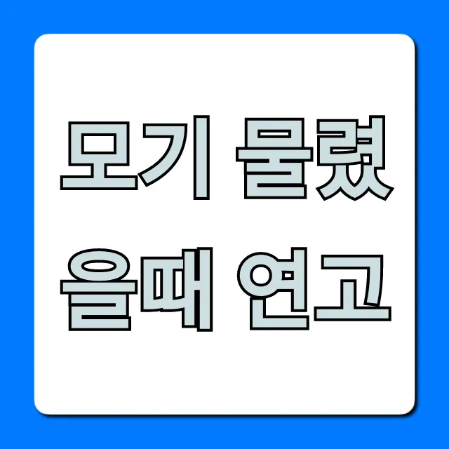 모기 물렸을때 연고 추천: 가려움 즉시 잡는 꿀팁 총정리